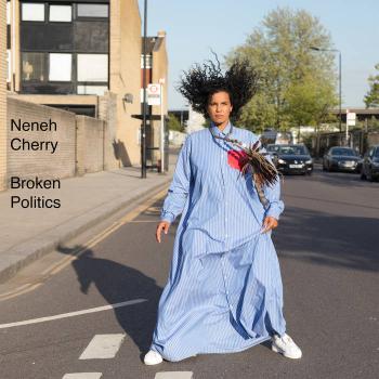'Broken Politics' - a completely satisfying synthesis