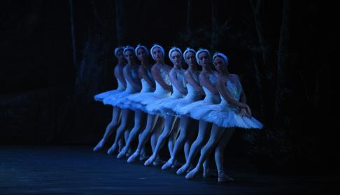 Well lit by moonlight: the corps of swan maidens in English National Ballet's Swan Lake, choreographed by Derek Deane