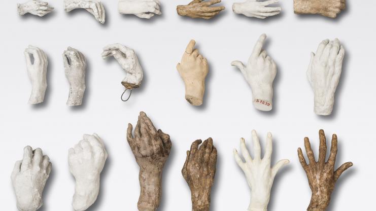 Auguste Rodin, Plaster and terracotta limbs, or 'giblets' as the artist called them, c.1880-1917