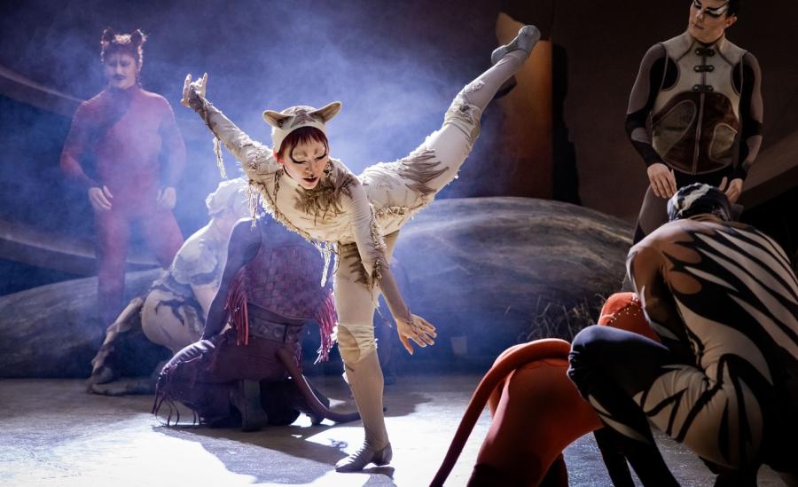 CATS. Patricia Zhou (Cassandra) 