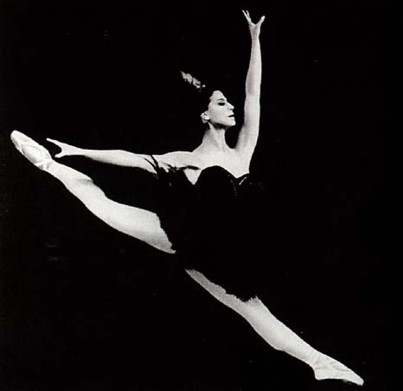 maya plisetskaya black swan