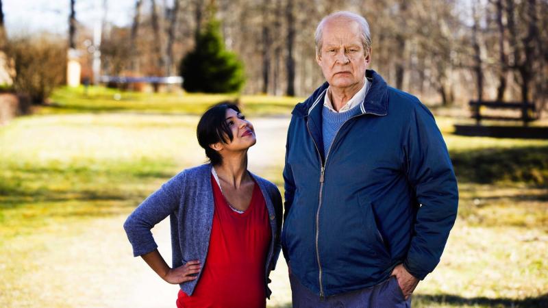 Dvd Blu Ray A Man Called Ove Review