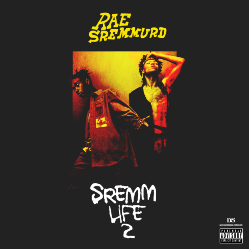 CD: Rae Sremmurd - SremmLife 2 | The Arts Desk