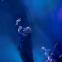 Matt Berninger reaches to the heavens