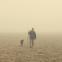 Sins of the father: Roger Marten in 'The Old Man and the Land''