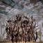 Cornelia Parker's Cold Dark Matter (An Exploded View) 1991: Cornelia Parker's Cold Dark Matter (An Exploded View) 1991: