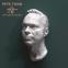 The bust that every mantelpiece desires