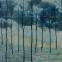 Picture this: music that wafts by like a beautiful summer breeze