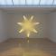Ann Veronica Janssens Yellow Rose, 2007