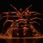 Soaring high: the Ailey 2 company in the opening section of Revelations, made by Alvin Ailey in 1960 and performed in every programme