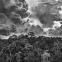 'Archipel fluvial de Mariuá, Rio Negro, Amazon, Brazil', 2019, by Sebastião Salgado