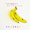Not The Velvet Underground & Nico