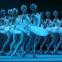 Lake of tears: the Bolshoi's corps de ballet, beautiful as ever