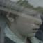 Thomas Gioria is brilliant as Julien, a child caught between warring parents
