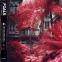 Foals: an album made for partying and dancing