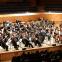 Welcomed: Ben Gernon is applauded by the orchestra at the close of Saturday’s concert