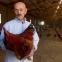 Frank Reese loves his rare-breed chickens