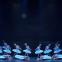 Well met by moonlight: artists of English National Ballet in Derek Deane's production of 'Swan Lake'