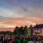 Sunset over Bedgebury Pinetum