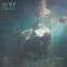 Hozier - swimming in soul, gospel, folk, and rock