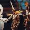 Jean-Paul Gaultier: outrageously avant-garde decades later