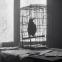 Nevermore: Iossif Surchadzhiev, Samuel Finzi, and crow in 'January'