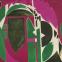 Palingenesis, 1971 by Lee Krasner