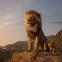 Father's pride: Musafa and Simba