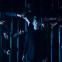 Sound and fury: Jonathan Goddard as Macbeth with other dancers of Mark Bruce Company