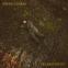 'Its strange new world is disquieting, but still contains richness, comfort, meditative space'