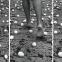 Between Lives by Anna Maria Maiolino, from the series "Photopoemaction" 1981/ 2010