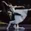 Shun Izawa as Albrecht and Yui Yonezawa as Giselle