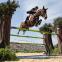 Riding to glory: Nick Skelton on Big Star