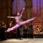 Pink Panther: Brooklyn Mack as the slave trader Lankedem in English National Ballet's production of 'Le Corsaire'