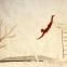 Paestum 5th century BC: taking the plunge into the unknown