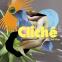 Raf Vilar's 'Clichê': vaporous