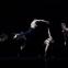Australian group Circa's Sacre for the Brighton Festival