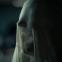 Fright night in Salem's Lot's lively morgue