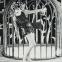 Alla Nazimova as Salome