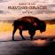 Heart music from the wild