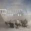 Shearwater's 'The Great Awakening': stately
