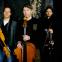 Slow Moving Clouds are nyckelharpa player Aki, cellist and lead singer Kevin Murphy and fiddle player Danny Diamond