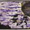 Ming Smith, 'Freedom (painted)', 2022