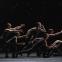 Hey, you, wait: Members of the Royal Ballet in 'Solo Echo' by the Canadian choreographer Crystal Pite