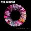 The Subways: back in the ring