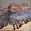 Monks from the Shaolin Temple in China reveal their kung fu prowess