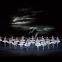 A force to be reckoned with: the corps de ballet in the Royal Ballet's latest production of 'Swan Lake'
