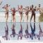The Shiny Shrimps perform their "intimidating" pre-match dance