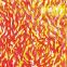 Fire: Urban tales of the Pandemic