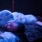 Marty Rea's Gabriel reflects on the kingdom of shades after wife Gretta (Maeve Fitzgerald) has wept herself to sleep